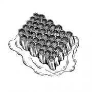 你印象中的蜂窩板是什么樣子的？都有什么優(yōu)點(diǎn)